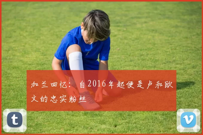 加兰回忆：自2016年起便是卢和欧文的忠实粉丝