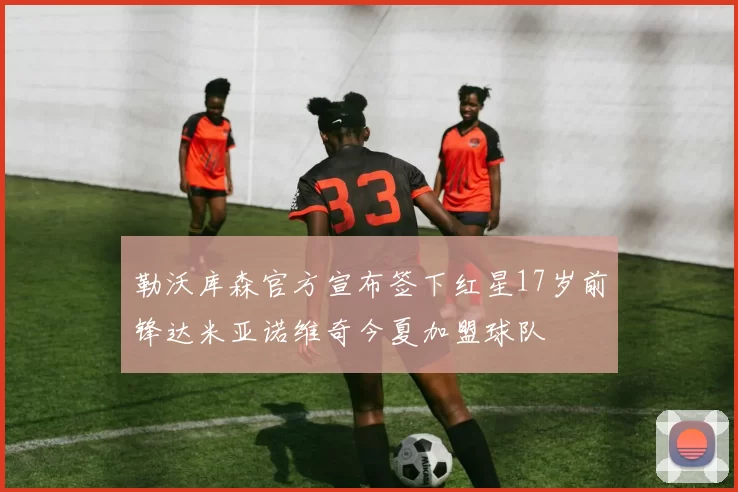 勒沃库森官方宣布签下红星17岁前锋达米亚诺维奇今夏加盟球队