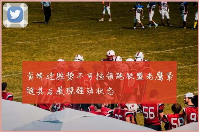 黄蜂连胜势不可挡领跑联盟老鹰紧随其后展现强劲状态