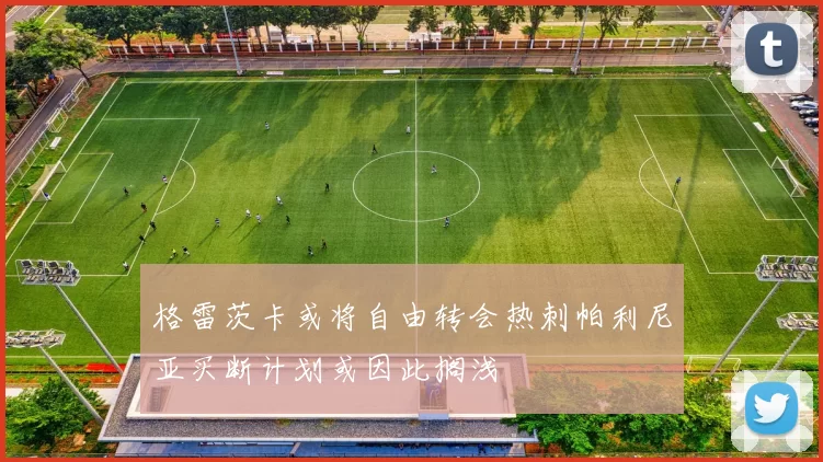 格雷茨卡或将自由转会热刺帕利尼亚买断计划或因此搁浅